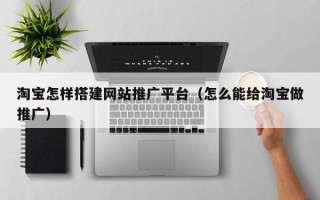 延边淘宝怎样搭建网站推广平台（怎么能给淘宝做推广）
